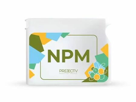 Project V - NPM (nowy Ursul) (1)